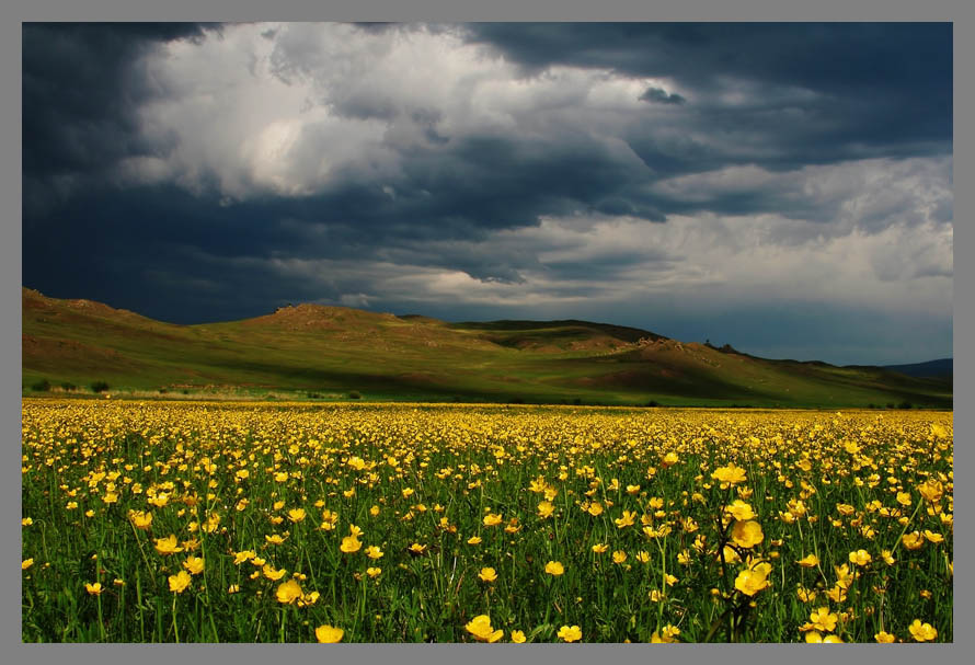 Перед дождиком