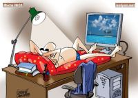 Сирёгин охфис