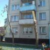 Такие деревья жить уже не будут