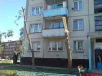Такие деревья жить уже не будут