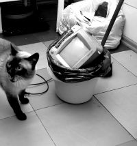 Не спешите выбрасывать телевизор! Не спешите выбрасывать телевизор!