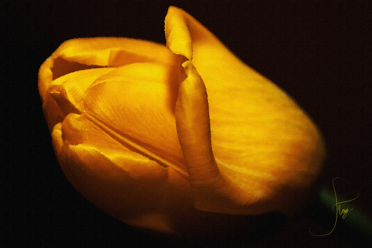 В предвверии 8 марта:)