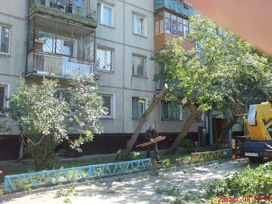 Здесь можно было подрезать всего несколько веток