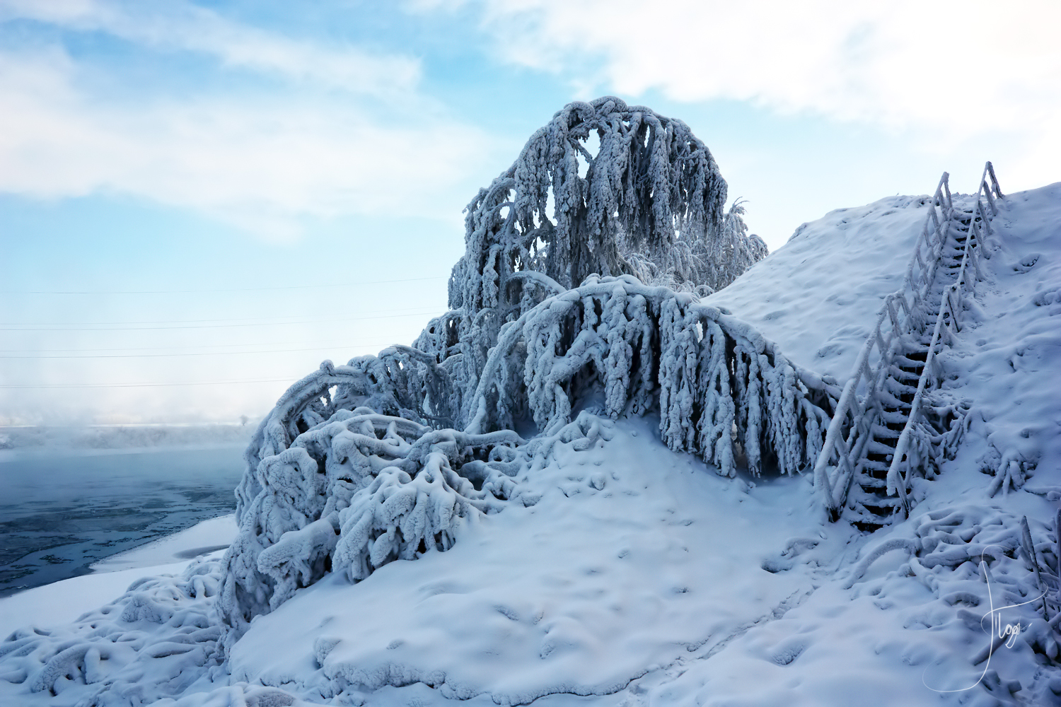 Зимний контраст