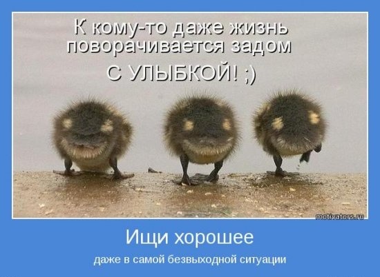 Ищи хорошее ..