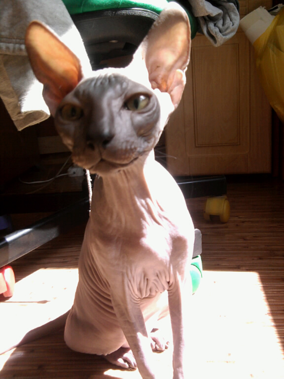 нужна подружка 89025464646 Сергей