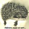 не прёт не прёт
