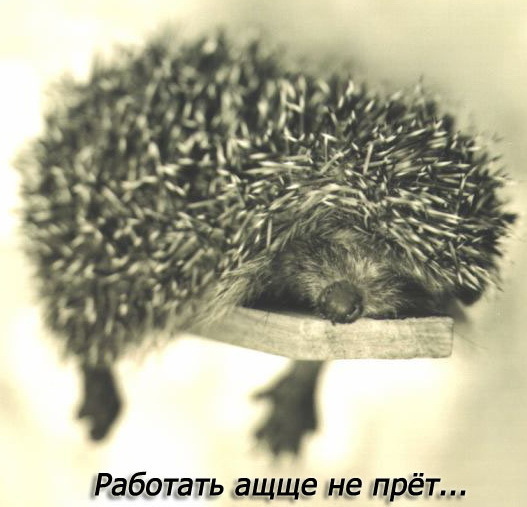 не прёт