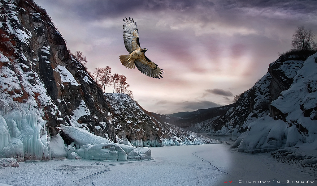 Навстречу солнцу Навстречу солнцу