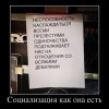 Социализация