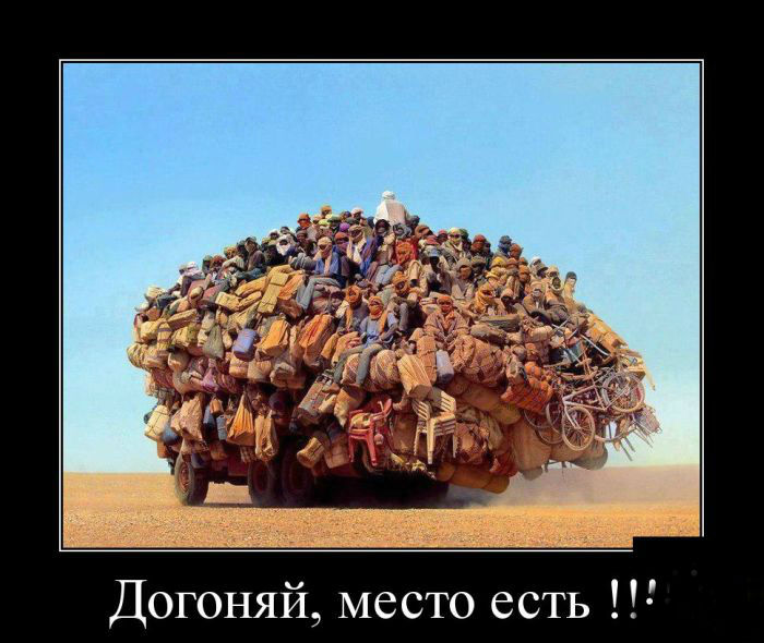 Догоняй