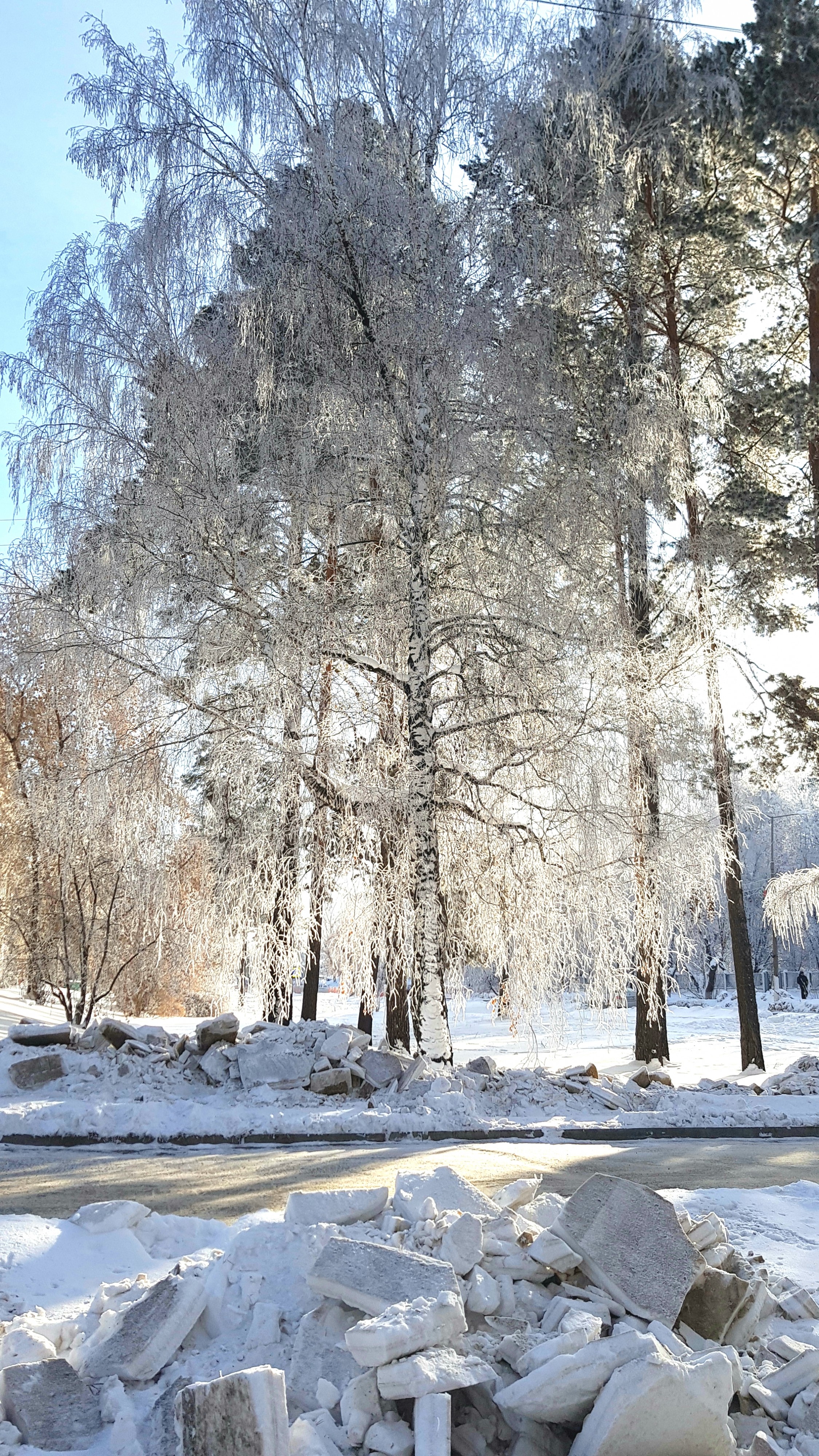 206-й на Рыночную январь 2018