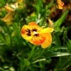 После дождя 2