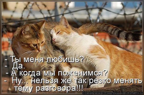 ))
