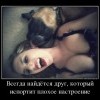 Всегда найдется друг Всегда найдется друг