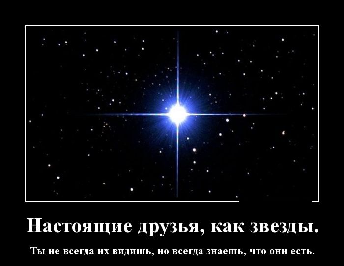 Настоящие друзья