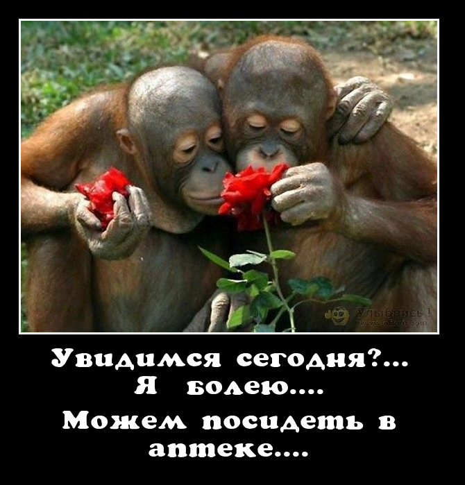 Свидание