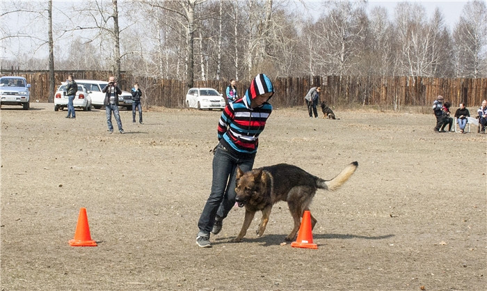 GetImage (10)