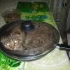 Съел котлеты....теперь ужин я)))