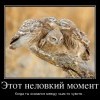 Неловкий момент Неловкий момент