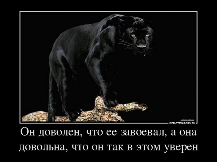 Он доволен,что её завоевал