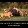 Обсуждение веса Обсуждение веса
