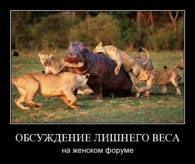 Обсуждение веса