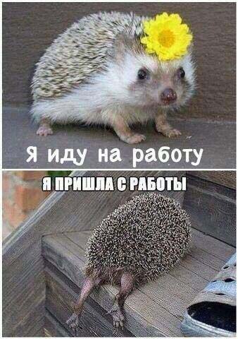 До и после работы
