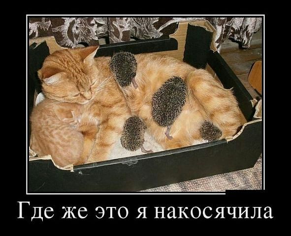 GetImage