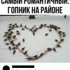 Любовь и голуби Любовь и голуби