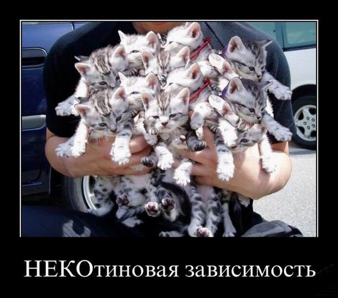 Зависимость