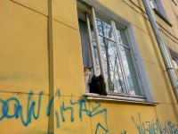 двое из окна)))))