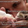 Вызывает чувства Вызывает чувства