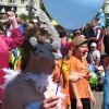 IMG 4211