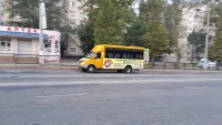 Дельфин