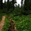 велодорожка и ливневка 