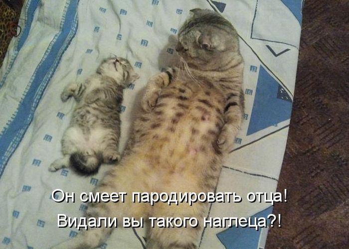Пародист