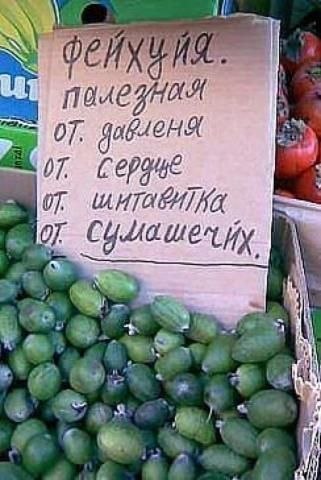 вот такая вот фейхоа...