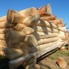 Без названия Без названия