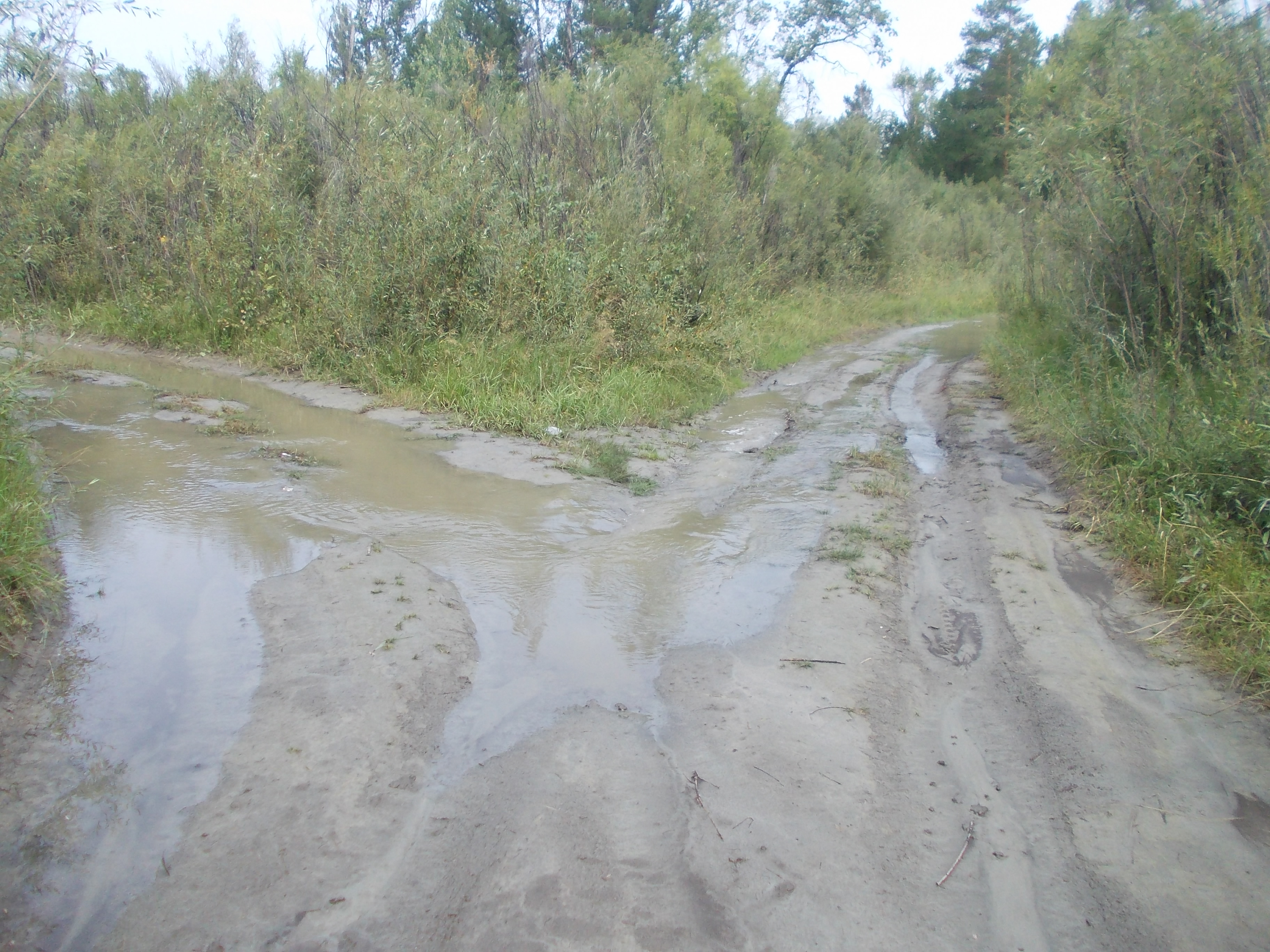 Природа разбушевалась. Чебогоры 17.08.2015. Заливает низину.