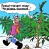 Не родись красивой Не родись красивой