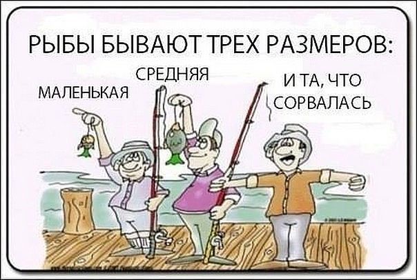Три размера рыб
