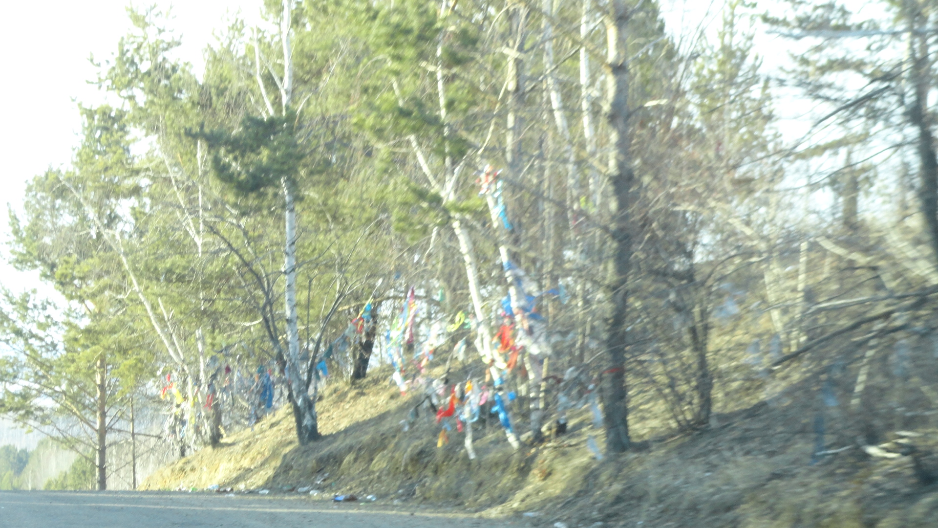 DSC03868