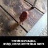 Лотерея Лотерея