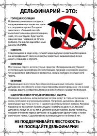 1r-GpPnA8L4 1r-GpPnA8L4