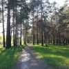 проста таг)))))) проста таг))))))