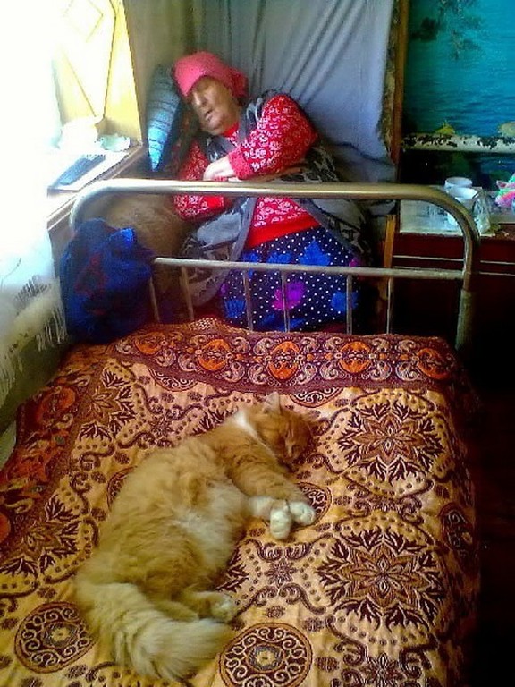 рыжие рулят))