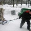 в память о зиме))