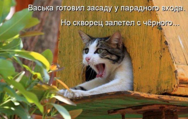 Засада