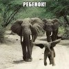 Ребенок